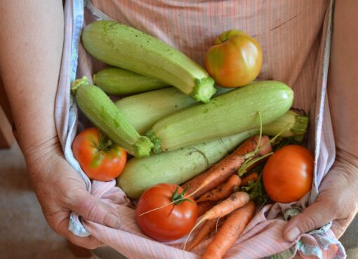 Photo Chilacayote: squash, Mexican cuisine