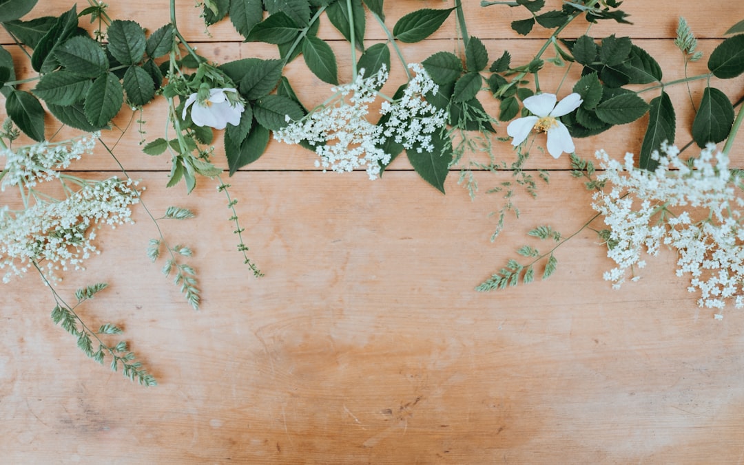 Daisy Nails: The Perfect Spring Manicure